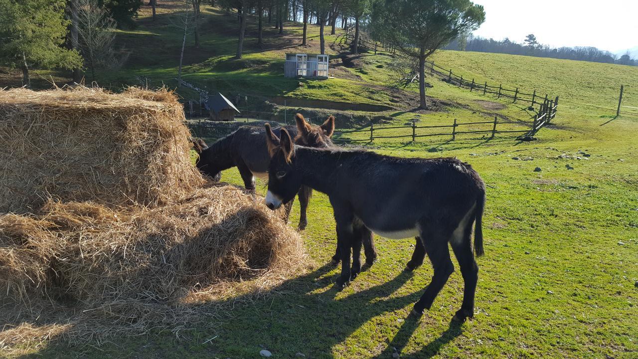 b&b Podere Montese Villafranca in Lunigiana Exterior foto