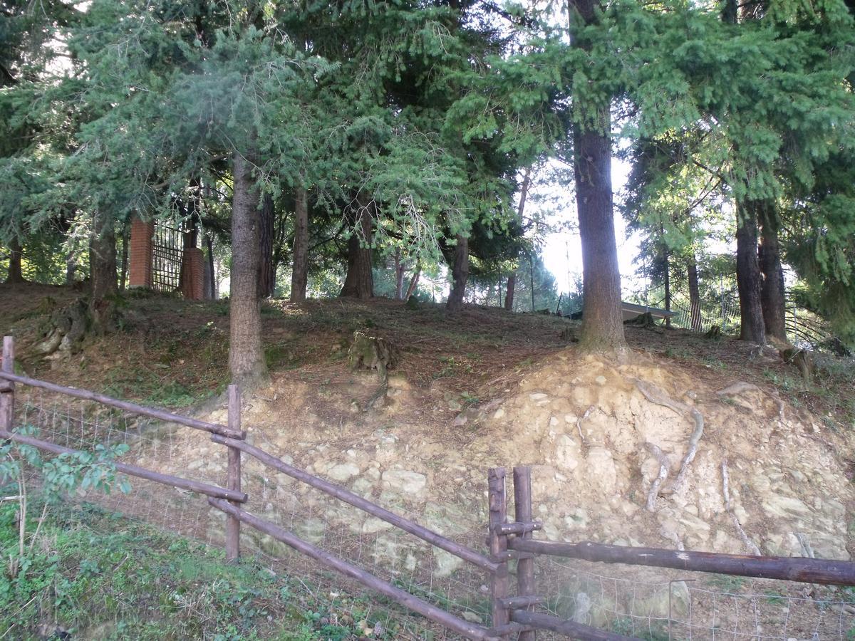 b&b Podere Montese Villafranca in Lunigiana Exterior foto
